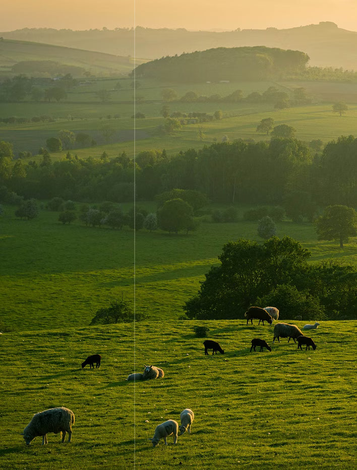 Forever without div image