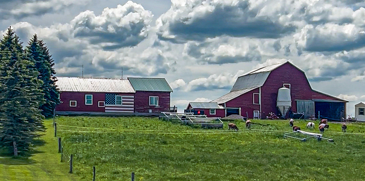Walnut Hill Farm image